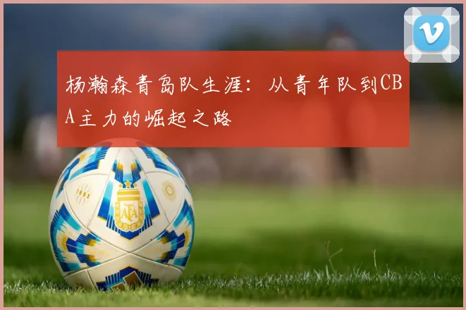 杨瀚森青岛队生涯：从青年队到CBA主力的崛起之路