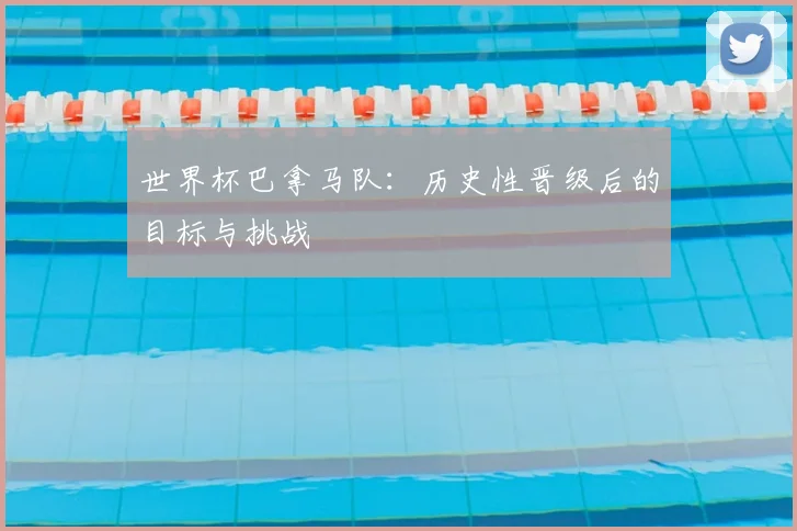 世界杯巴拿马队：历史性晋级后的目标与挑战